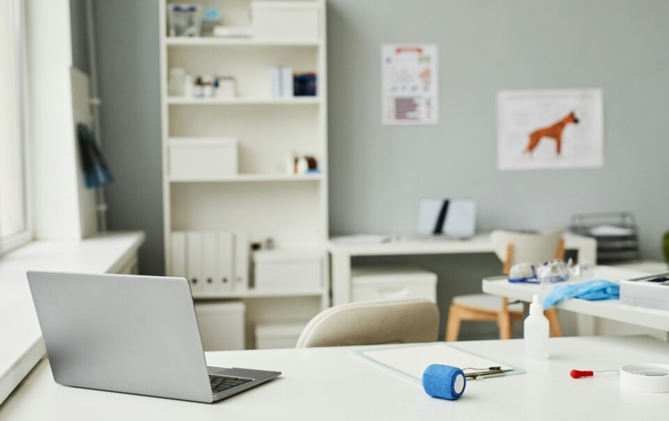 Workplace of veterinarian in contemporary veterinary clinics