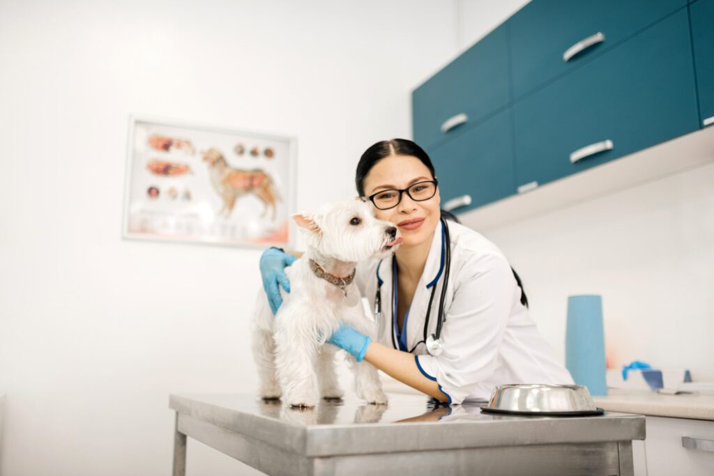 Selling Your Veterinary Practice