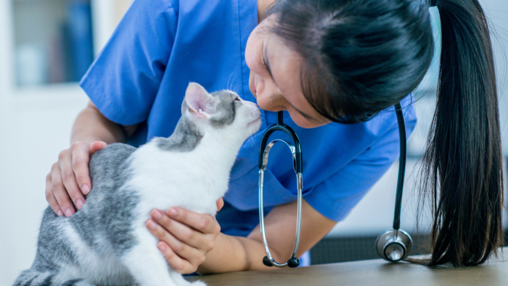 Selling Veterinary Practice Texas