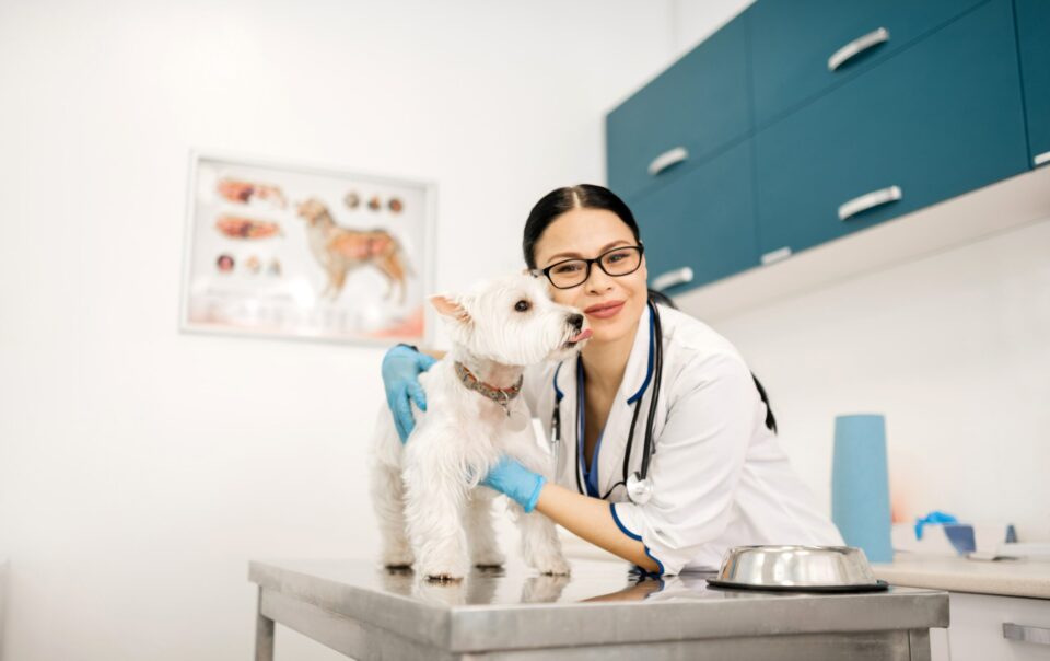 Selling Your Veterinary Practice
