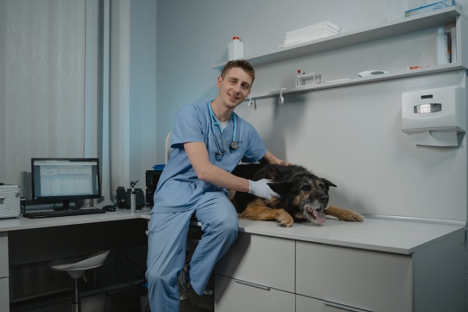 Veterinary Practice Sale