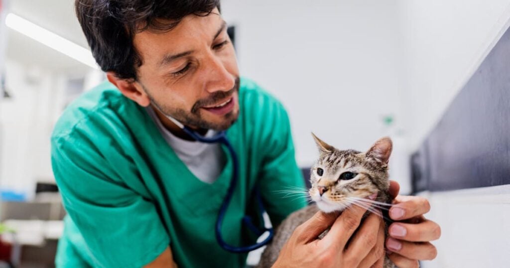 Buy a Veterinary Practice