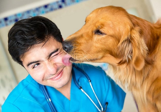 Veterinary Practices