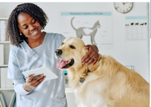 buying a veterinary practice