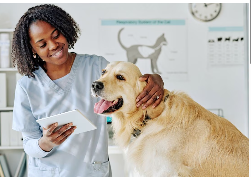 buying a veterinary practice