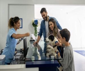 buying a veterinary practice