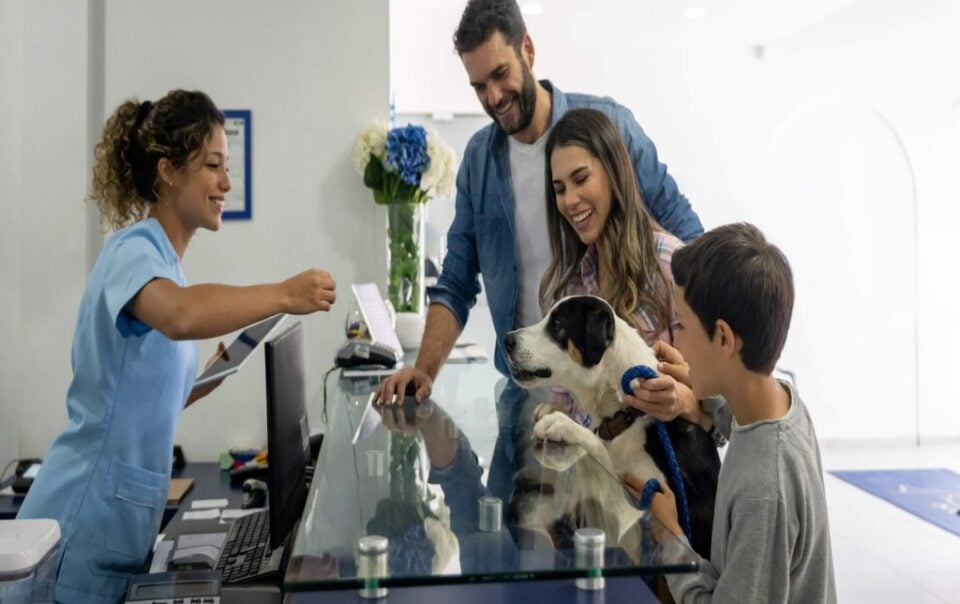 buying a veterinary practice