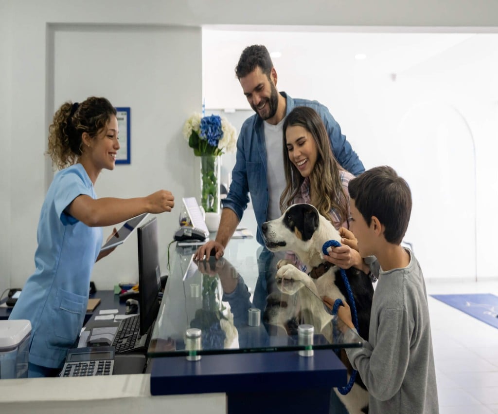 buying a veterinary practice