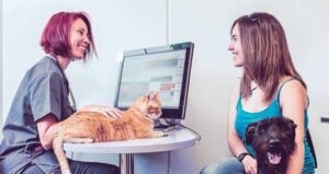 veterinary practice management software