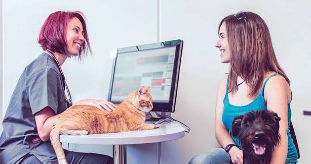 veterinary practice management software